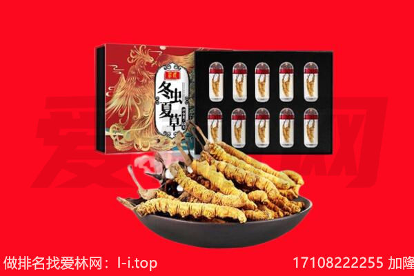 南平市回收虫草.jpg